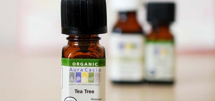 Aura Cacia, Organic, Tea Tree