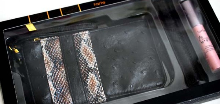 Tarte Paint The Town Tarte Eye & Lip Color Collection & Clutch