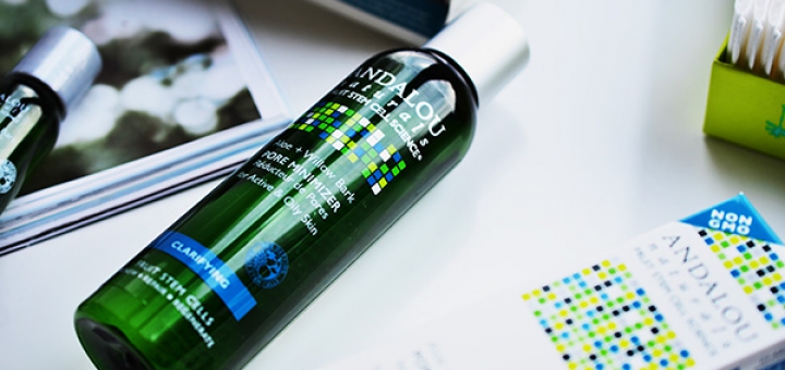 Тоник Andalou Naturals Pore Minimizer Aloe + Willow Bark, тоник, Andalou Naturals, Andalou Naturals Pore Minimizer Aloe + Willow Bark, Pore Minimizer