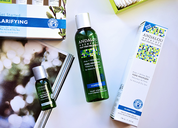 Тоник Andalou Naturals Pore Minimizer Aloe + Willow Bark, тоник, Andalou Naturals, Andalou Naturals Pore Minimizer Aloe + Willow Bark, Pore Minimizer