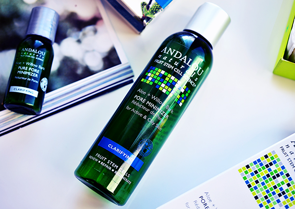 Тоник Andalou Naturals Pore Minimizer Aloe + Willow Bark, тоник, Andalou Naturals, Andalou Naturals Pore Minimizer Aloe + Willow Bark, Pore Minimizer