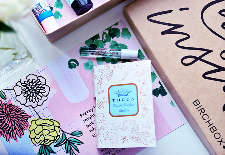 Fancy Бьюти-боксы: Birchbox April 2017, Birchbox April 2017,Birchbox, Vasanti BrightenUp! New Skin Amplifying Moisturizer, Benefit Cosmetics They're Real! Double the Lip, Bumble and bumble Don't Blow It - Fine, TOCCA Emelia Eau de Parfum, derma e Purifying 2-in-1 Charcoal Mask,