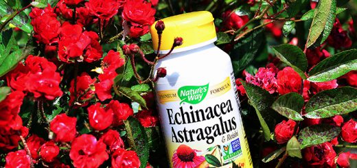 iherb.com, iherb.com отзывы, отзывы iherb.com, Nature's Way, Адаптогены: Nature's Way Echinacea Astragalus & Reishi, Nature's Way Echinacea Astragalus & Reishi