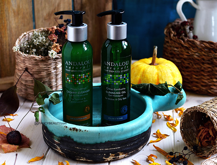 Andalou Naturals, iherb.com, iherb.com отзывы, американская косметика, натуральная косметика, органическая косметика, отзывы iherb.com, уход за лицом, Очищающий гель для умывания с цитрусами и чайным грибом, Сливочный очищающий крем с лимоном мейера и витамином C, Andalou Naturals Cleansing Gel Citrus Kombucha Clear Skin, Andalou Naturals Creamy Cleanser Meyer Lemon + C Brightening